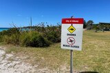 Shark warning sign at sunny beach