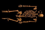 Researchers say this skeleton, found under a car park in Leicester, is that of King Richard III.