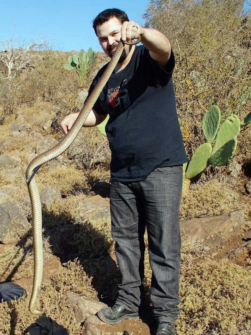 A man holds a snake