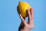Hand holding a bright yellow lemon up in the air against a pale blue background in a story about ways to use up lemons.