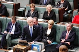 Chamber Speeches in Parliament House, October 10, 2016.