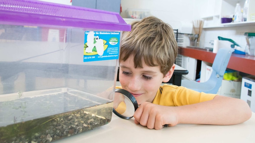 Year Two student Wren with tadpoles
