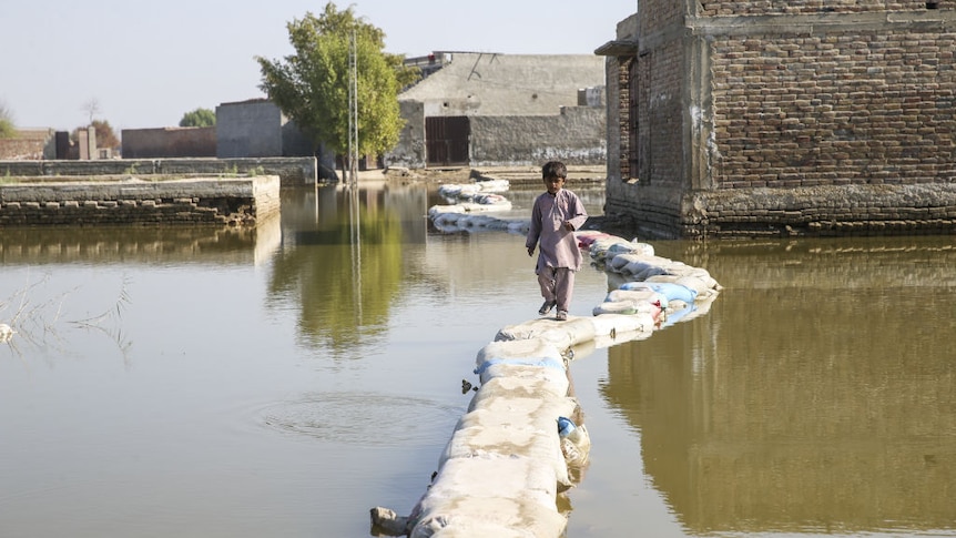 A child walks across sandbags in a flooded residential area of Sind province in Pakistan