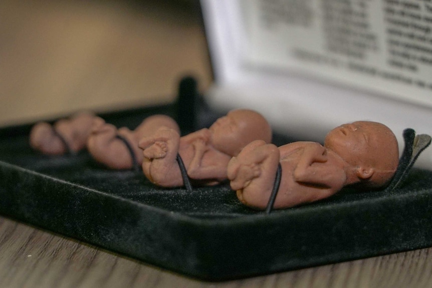Little plastic foetus dolls