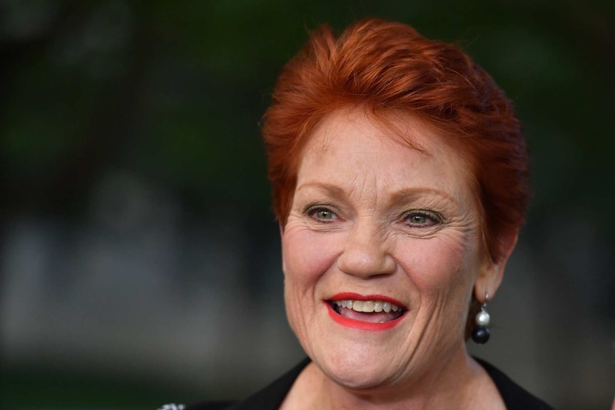 One Nation leader Senator Pauline Hanson smiles at a media conference.
