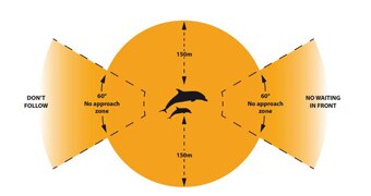 Recommended distance from dolphins with calves
