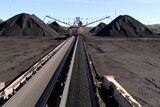 Coal on conveyor belt at unknown Qld mine, with hills of coal either side.