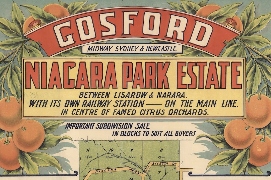 A colourful subdivision plan of Narara from 1924