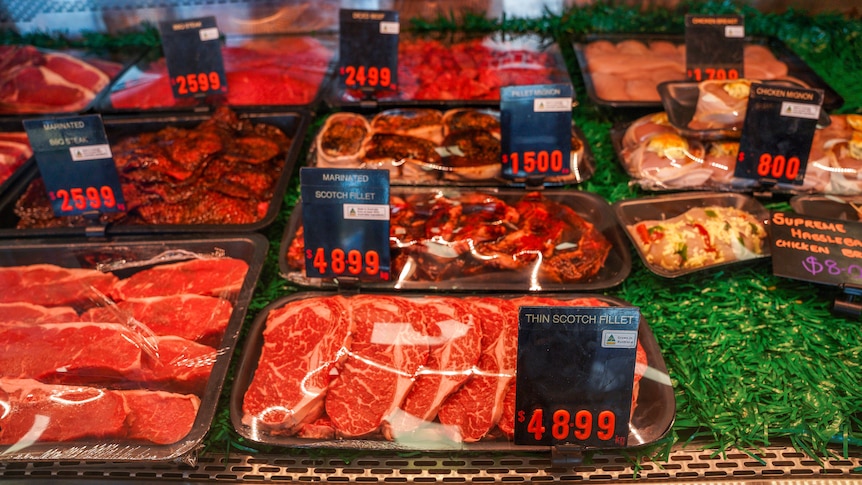 Butcher's meat display with expensive cuts, $48.99 per kilogram scotch fillet steak, July 2021