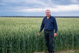 Russell Bennie standing near a wheat crop in October, 2022.