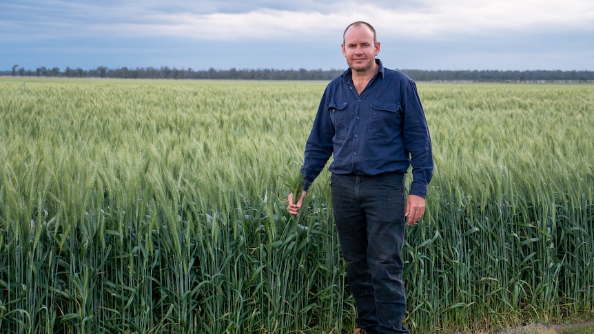 Russell Bennie standing near a wheat crop in October, 2022.