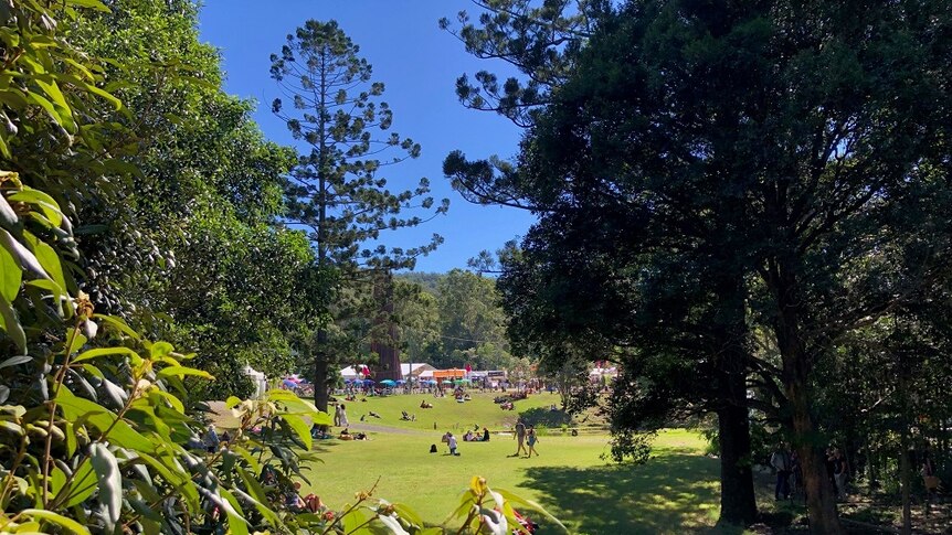 An image of a park, framed by trees