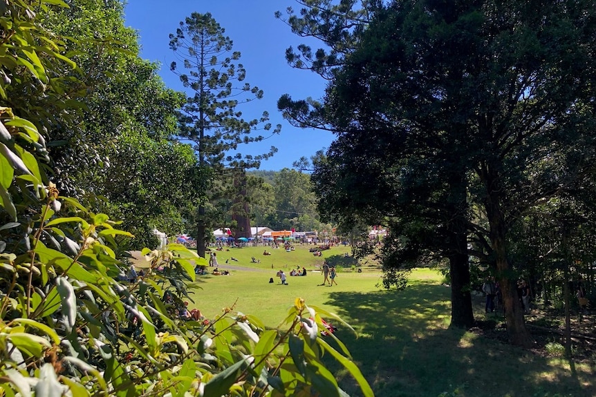 An image of a park, framed by trees