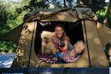 dog in tent with lady and son