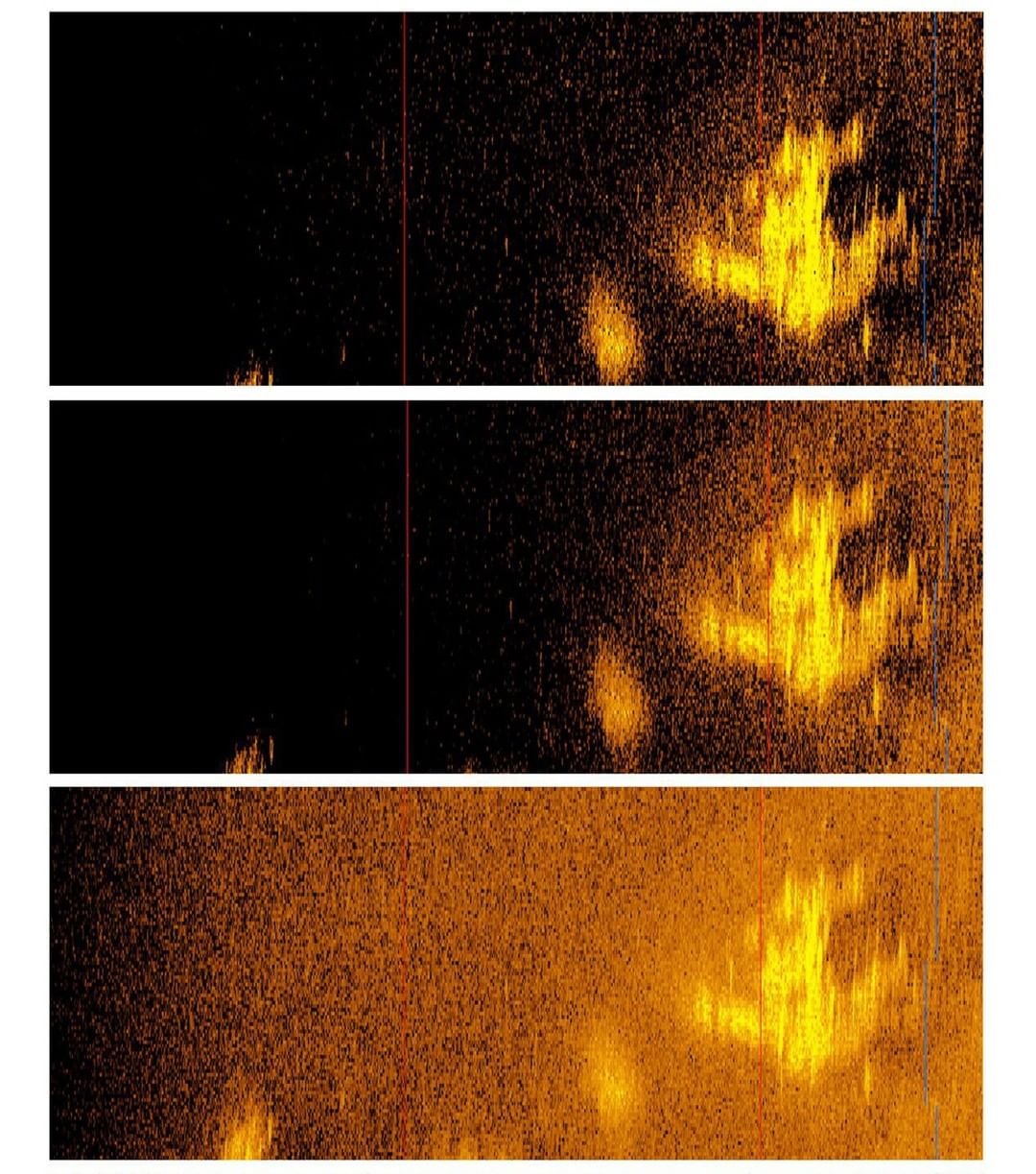 Fuzzy sonar vision of what looks like the shape of a plane from a bird's eyeview.