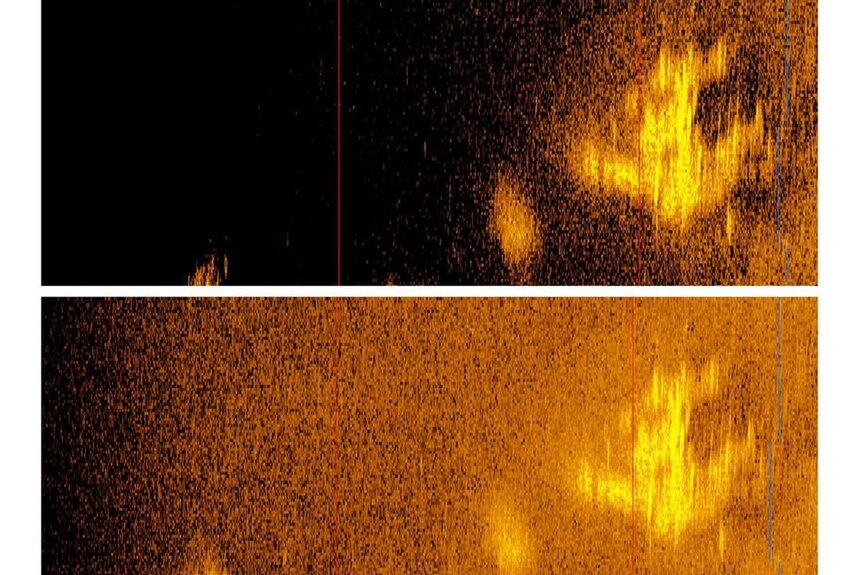 Fuzzy sonar vision of what looks like the shape of a plane from a bird's eyeview.