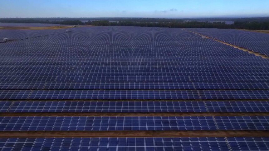 Arrays of solar farms are lined up