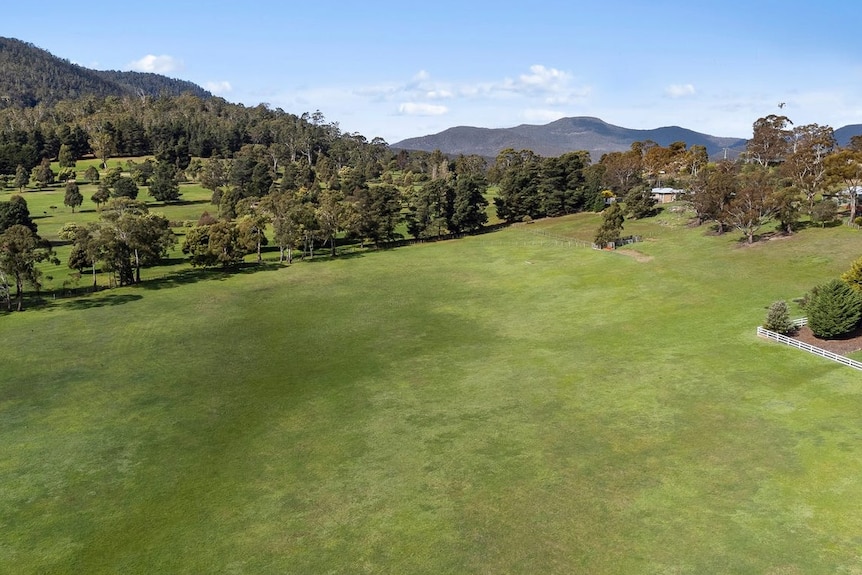 A view of a large green paddock ringed by trees