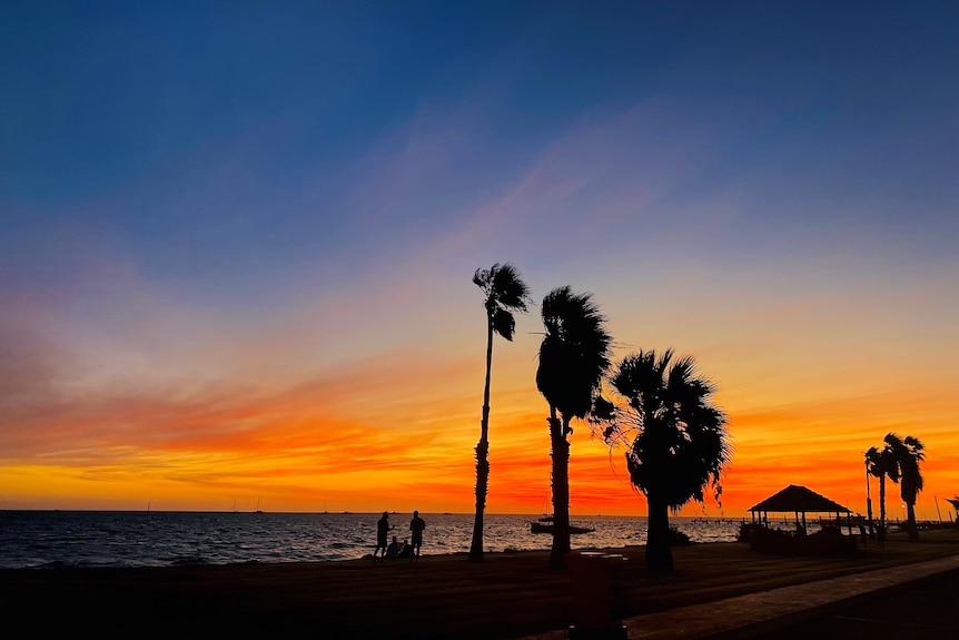Sunset in a coastal town, with palm trees on the foreshore.