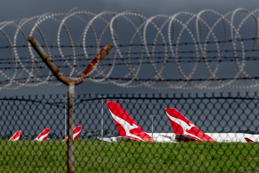 Qantas planes can be seen through a fence sitting in an airport.