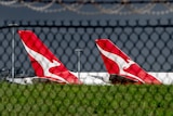 Qantas planes can be seen through a fence sitting in an airport.