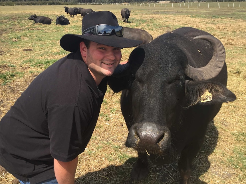 Bryan Jans with his buffalo 'Dixie' on his Gippsland farm.