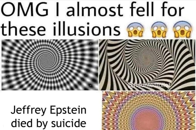 A meme that says "OMG I almost fell for these illusions", with one of them being "Jeffrey Epstein died by suicide"