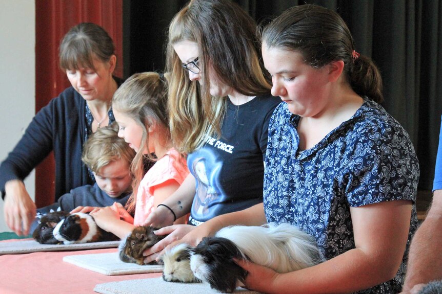 Children showing guinea pigs