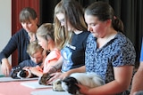 Children showing guinea pigs