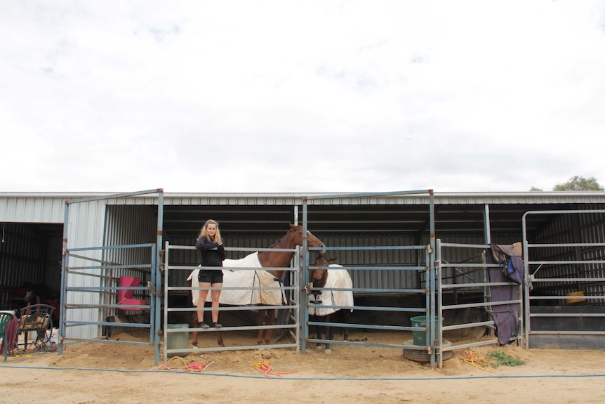 A wide shot of a girl standing on a fence at horse stables.