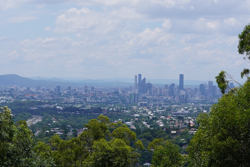 brisbane cbd skyline framed by trees on hot, cloudy day