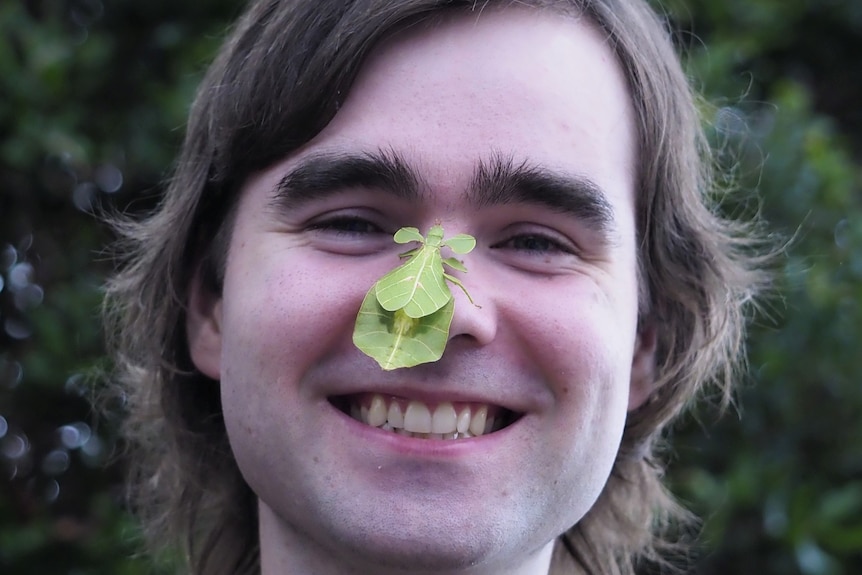 A young man with side-parted hair smiles while a grean leaf insect crawls on his nose.