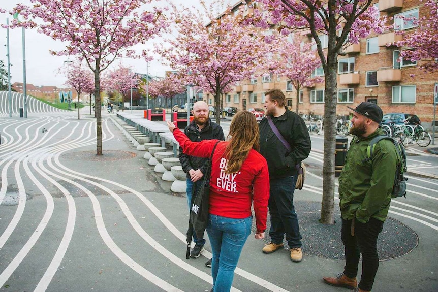 Urban Adventures local tour guide showing tourists the bicycle tracks and norrebro blossoms of Denmark.