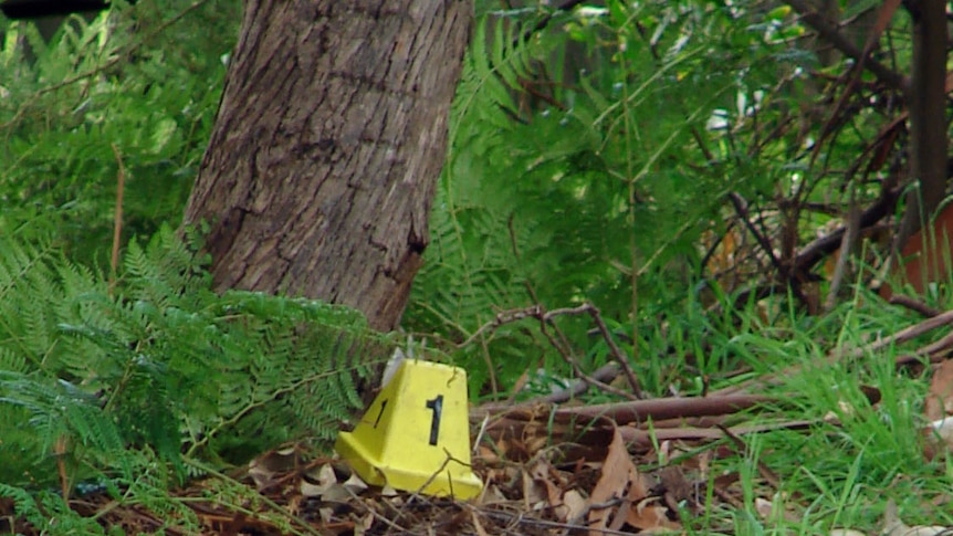 Tasmanian police say the baby's body found under a park tree had begun to decompose.