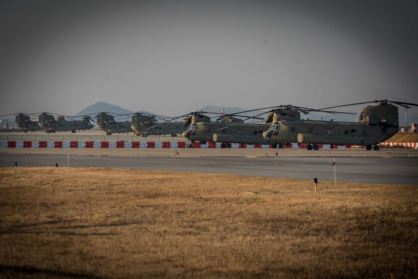 Helicopters lined up at the base.