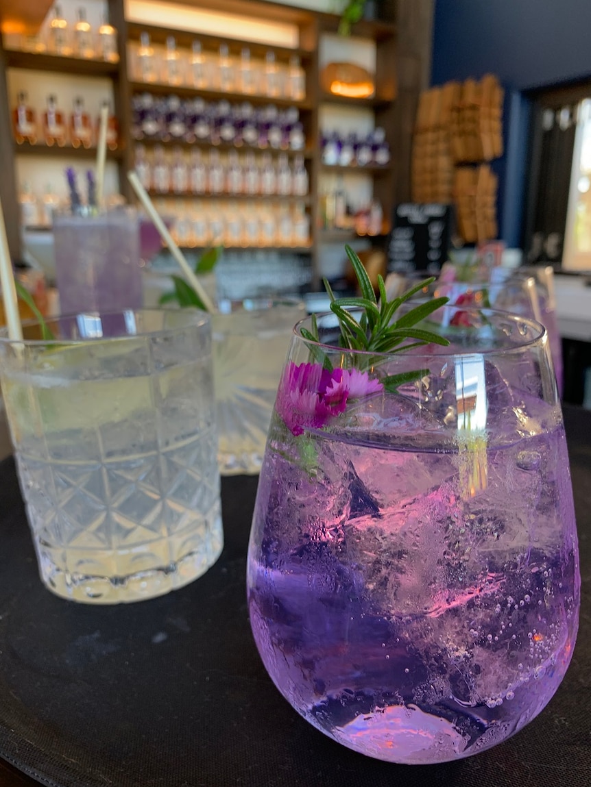 Several drinks lined up on a bar.