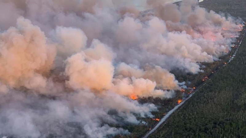 Aerial shot of smoke plumes rising from a coastal bushfire at dusk