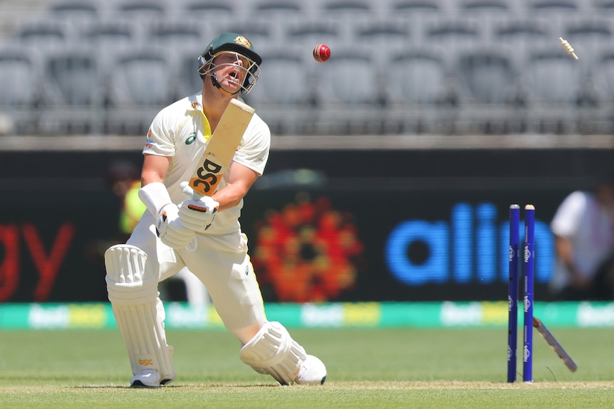 David Warner opens his mouth and throws his head back after being bowled