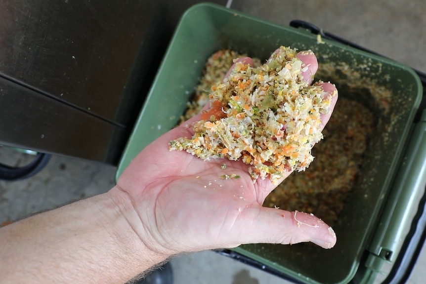 A hand holding food waste