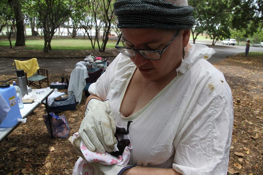 Woman wearing turban cleans baby bat with a wet wipe