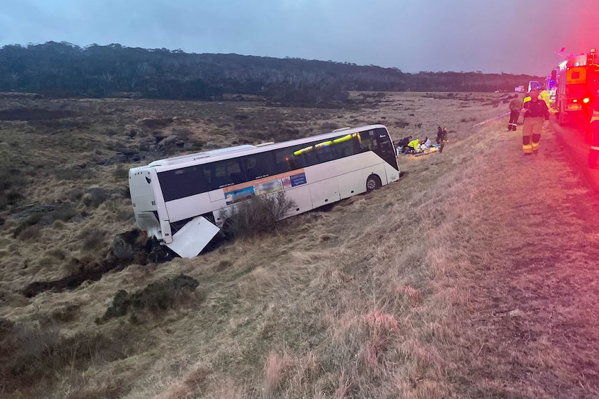 A bus which has crashed into an embankement. 