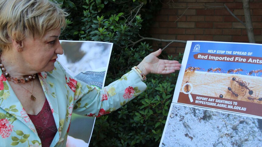 WA Agriculture Minister Alannah MacTiernan stands gesturing to a poster warning about the spread of red imported fire ants.
