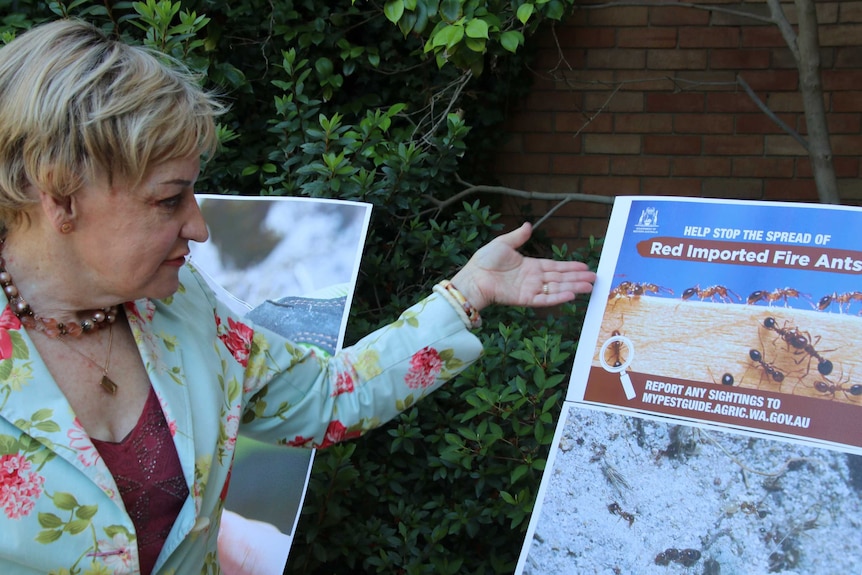 WA Agriculture Minister Alannah MacTiernan stands gesturing to a poster warning about the spread of red imported fire ants.