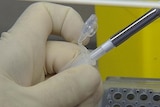 Scientist's hand with a tube sample during a test in lab