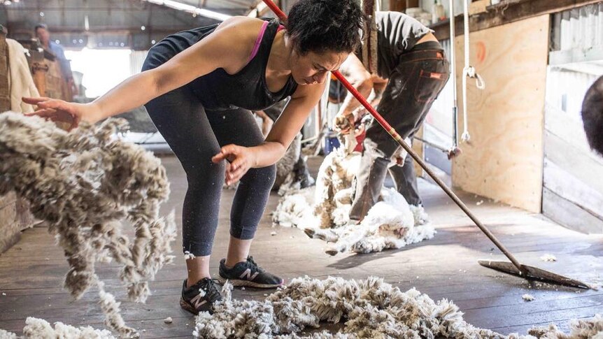 A roustabout at work in a shearing shed in Kojonup, Western Australia.