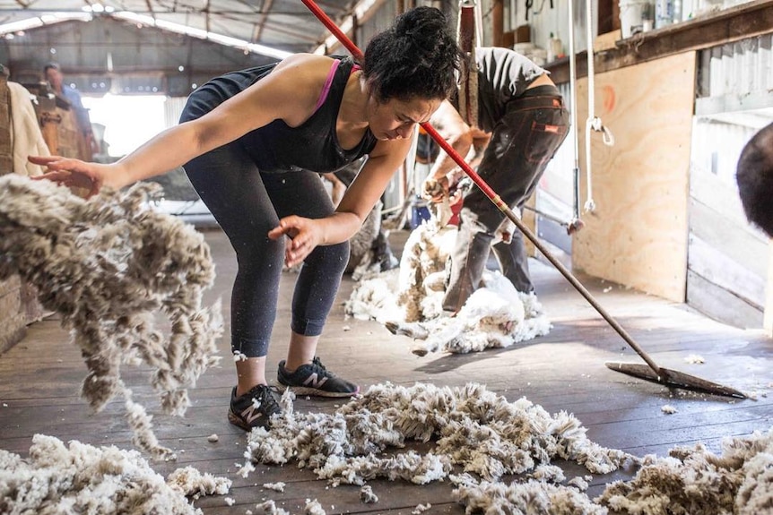 A roustabout at work in a shearing shed in Kojonup, Western Australia.