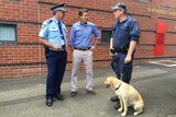 Assistant Commissioner Geoff McKechnie, Tamworth MP Kevin Anderson and dog handler, Senior Constable Kaine Schwartz, with drug detection dog Angel. January 2015.