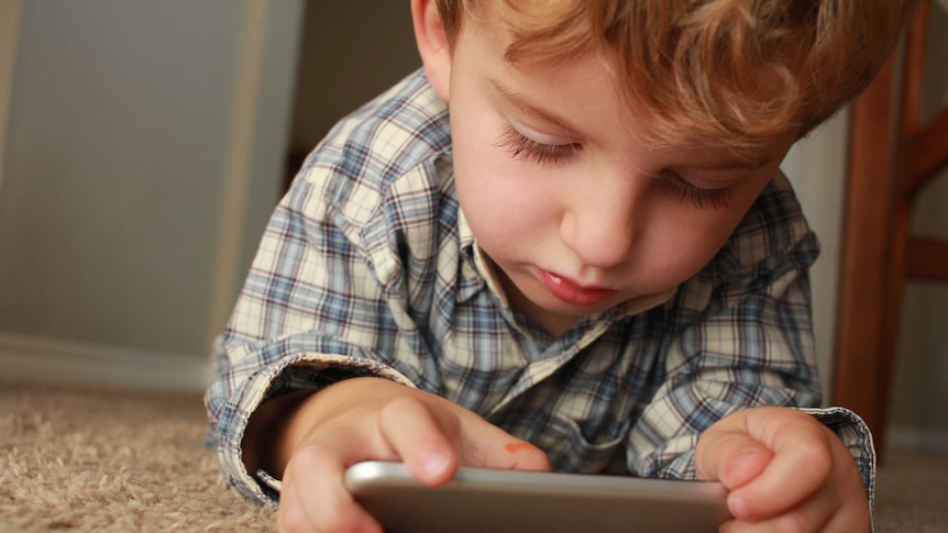 A toddler staring a phone screen.