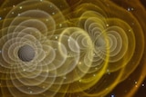 When two black holes collide, the resulting gravitational ripples can be felt across the cosmos.