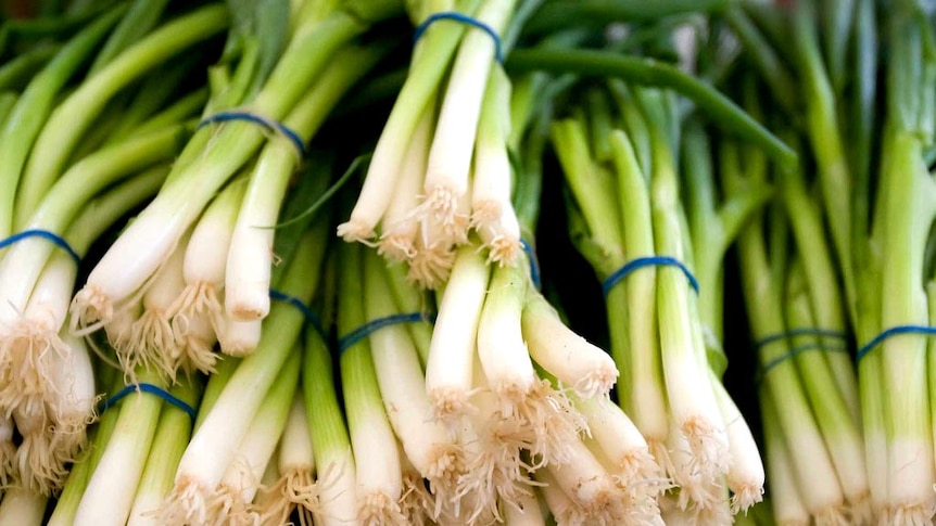 Pile of spring onions.